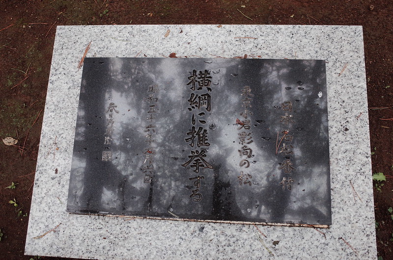 RICOH GRⅡ東京いい道しぶい道篠崎街道善養寺影向の松の碑