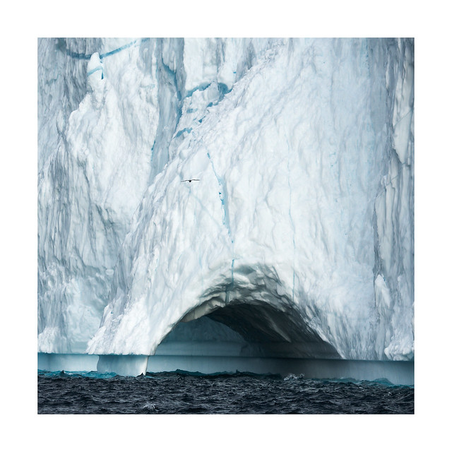 Greenland Iceberg Detail Study II