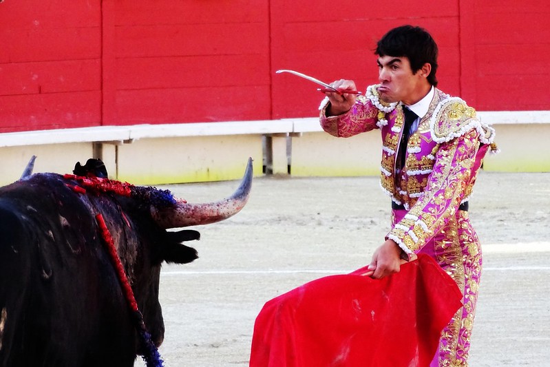 VIVAN LOS TOROS! - Página 14 48733395441_8e90ea198d_c