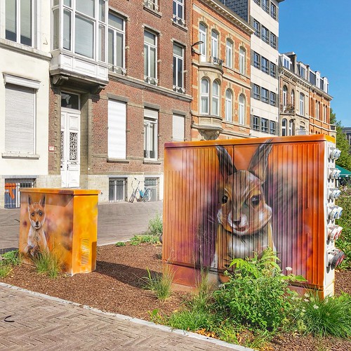 beautiful streetart in Leuven city