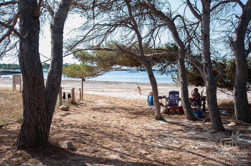 Las playas vírgenes de Son Saura - Menorca