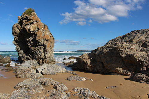 australia new south wales sea ocean beach three brothers rocks landscape nature outdoor view waves camel rock