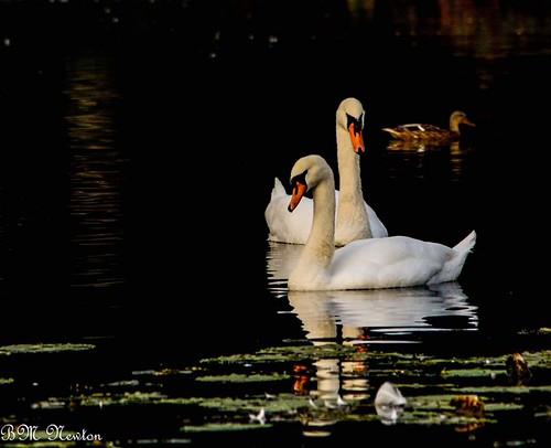 FB_IMG_1568555171670 | by beverley_newton