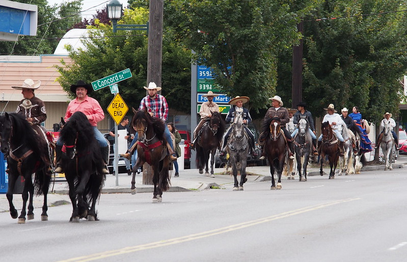 Seattle Fiestas Patrias Parade Horses: Ran into this parade in South Park.
