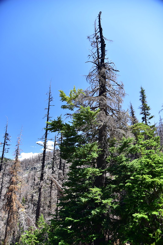 Hiking the Whitewater Trail