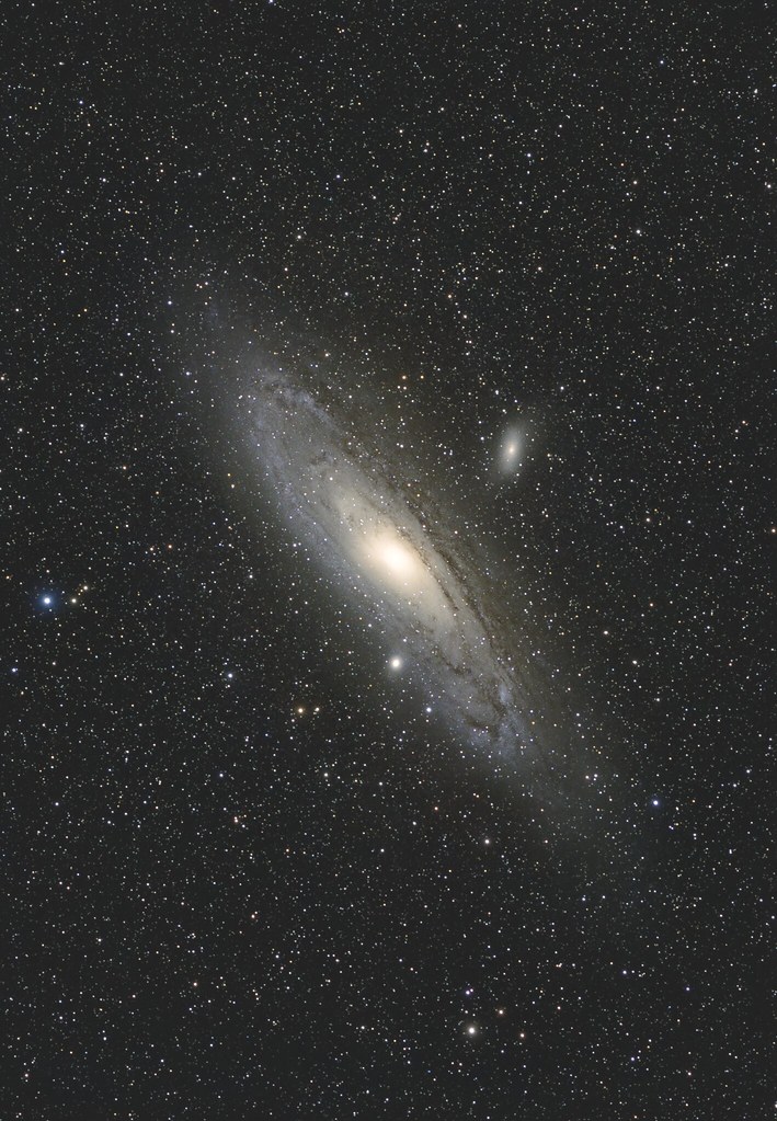 M31