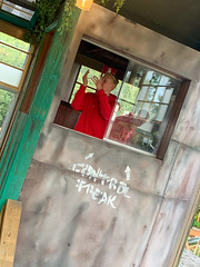 Photo 24 of 30 in the Walibi Holland on Tue, 13 Aug 2019 gallery