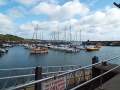 Saundersfoot Harbour