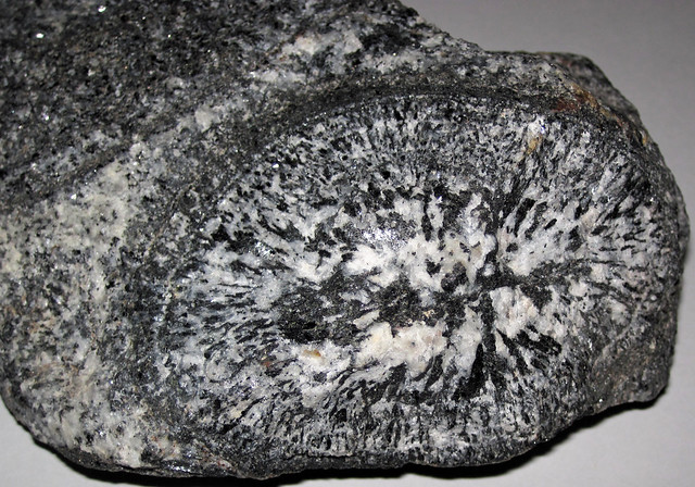 Orbicular granodiorite (Neoarchean, 2.687 Ga; Warroan Hill, West Australia) 4