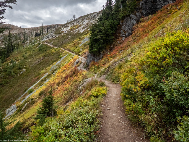 Maple Pass Trail