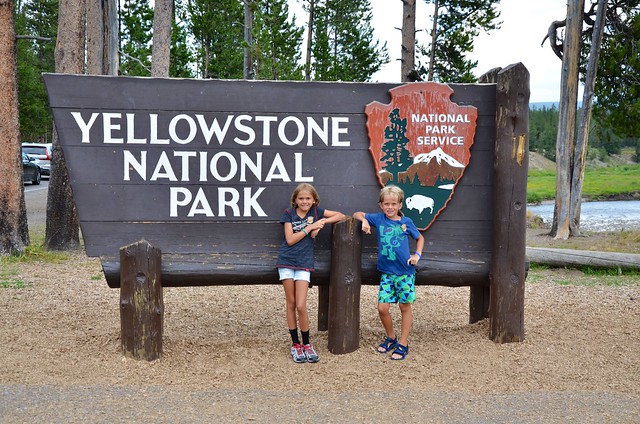 Welcome Back To Yellowstone