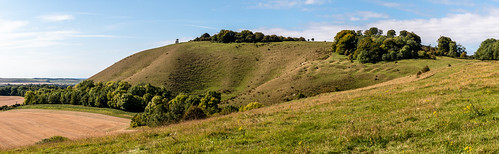wiltshire landscape panorama photomerge hill ridge combe tree grass earth field sky vista martinsell siteofhillfort