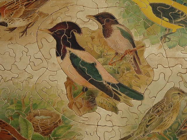 Detail British Jigsaw Library Rose Coloured Starlings by Henrik Gronvold DSC00429