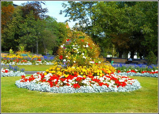 City Centre Floral Display ...
