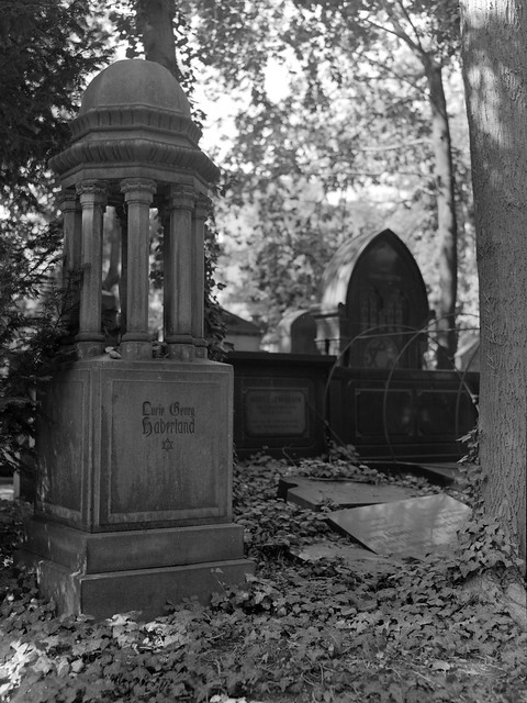 Cemetery Impression
