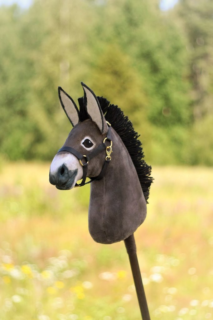 Hobbyhorse Donkey by Eponi (attribution required)
