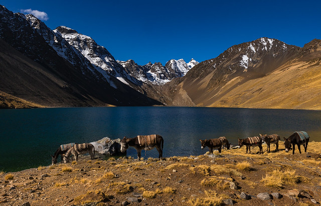 Bolivia - Cordillera Real trek
