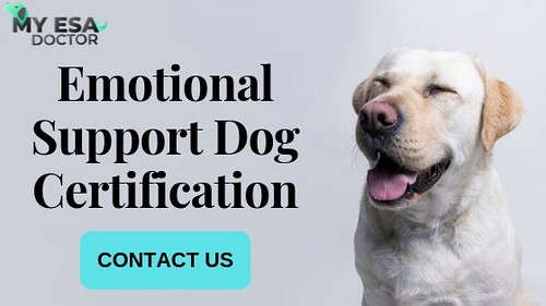 Emotional Support Dog Certification | by My ESA Doctor