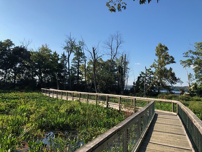 Bay View Trail Marsh