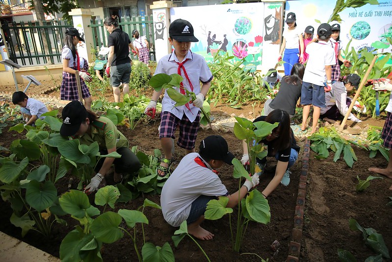 Students plant herbs in the garden