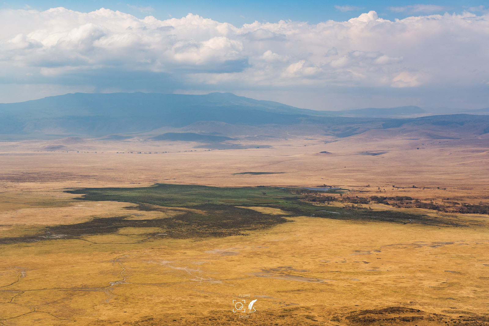 俯視：恩戈羅恩戈羅火山口│Ngorongoro Conservation Area│Tanzania