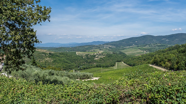 Castello di Verazzano- Tuscany - Italy - Landscape View