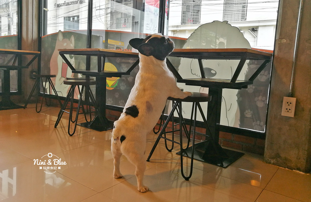 HoPs Dog Cafe泰國曼谷狗狗餐廳bkk 14