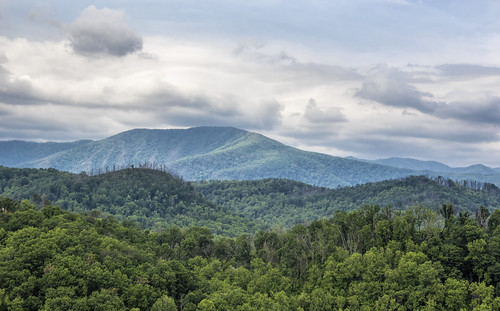 2019 may kevinpovenz tennessee smokymountains mountains landscape canon7dmarkii clouds morning morningsky sigma24105art green blue trees outside outdoors view photography scenic hills peak