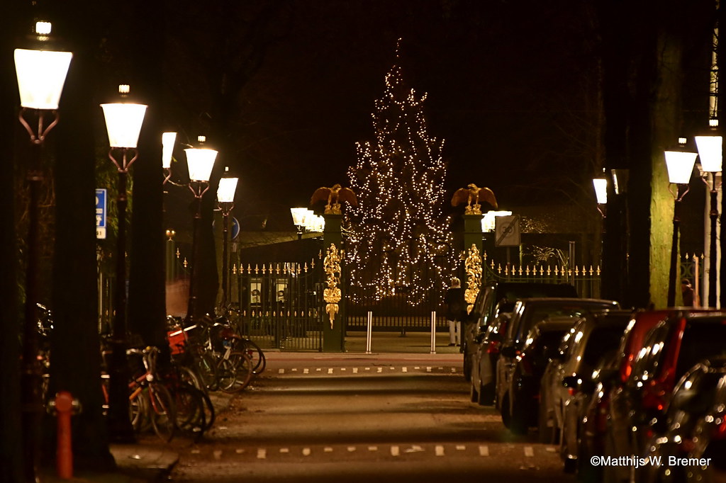 Amsterdam - Christmas tree