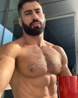 Arab muscle gay Body Hair