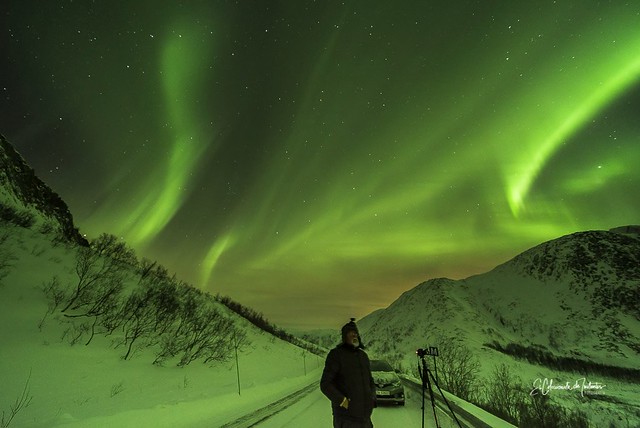 La Dama Verde baila en el cielo Ártico Aurora Boreal Montañas de Senja