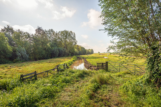 Typical Dutch polder landscape