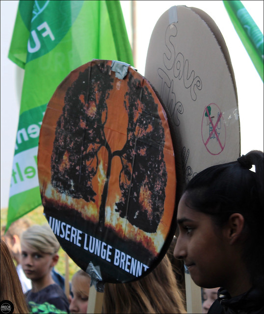 Lippstadt Fridays for Future 20. September 2019 - der dritte globale Klimastreik (4)