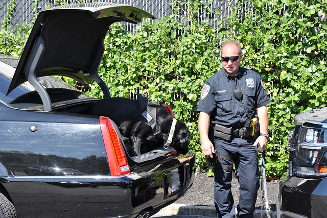 DSS armored limousine is checked by a Westchester Co. Police K9 in New York for UNGA