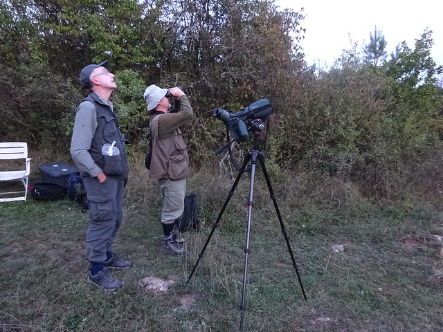 Bird Watching or Star Gazing?