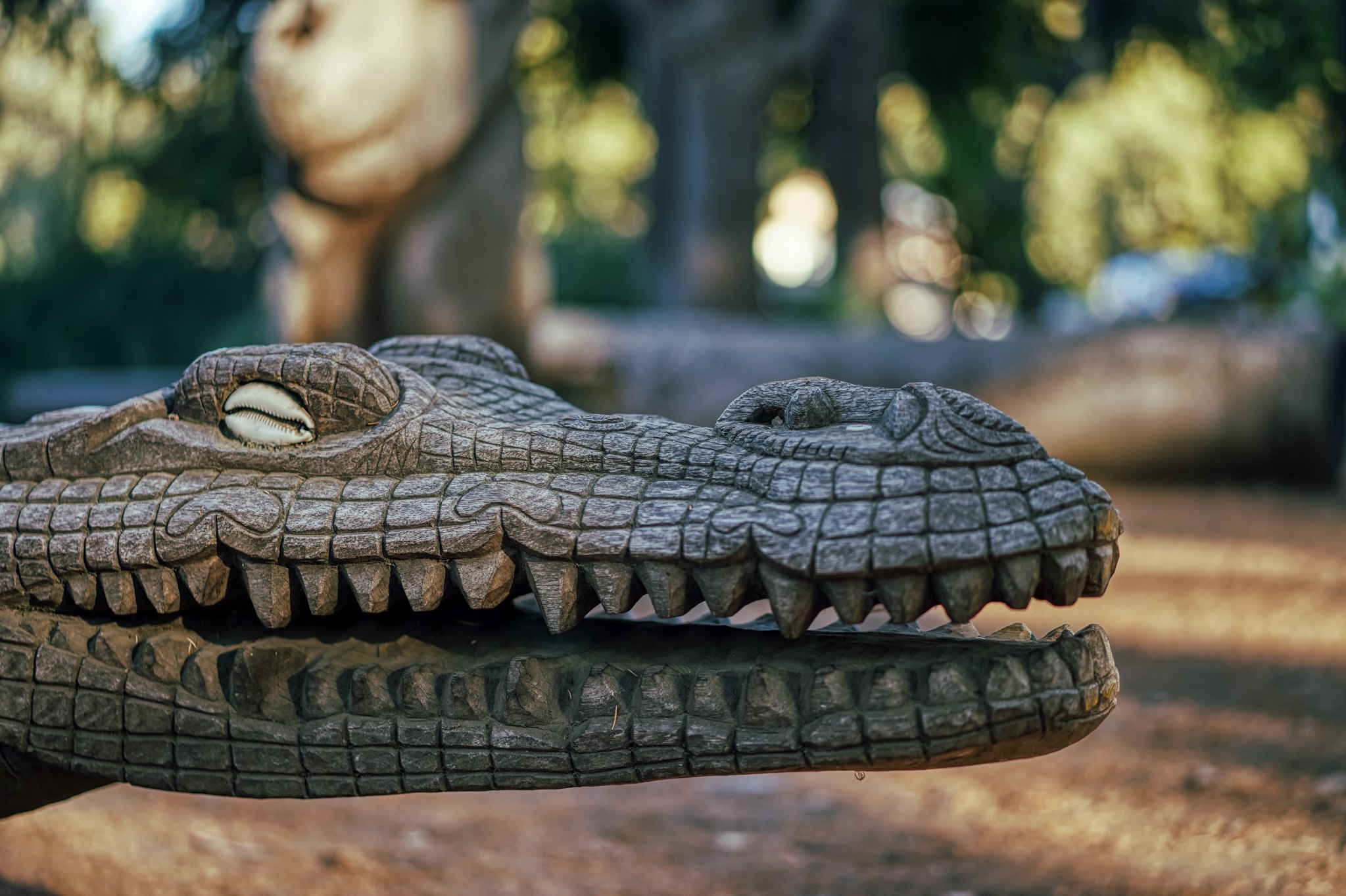 Wooden Croc