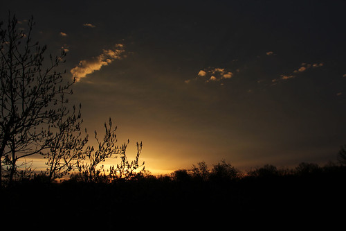 sunrise sunrisephotography sky bereaohio cloudsandsky clouds morning trees