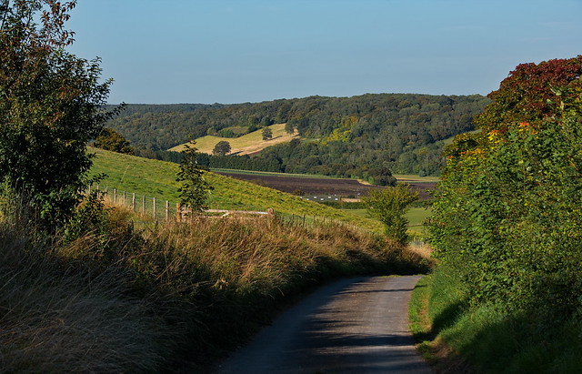 Wye hills near the North Downs Way
