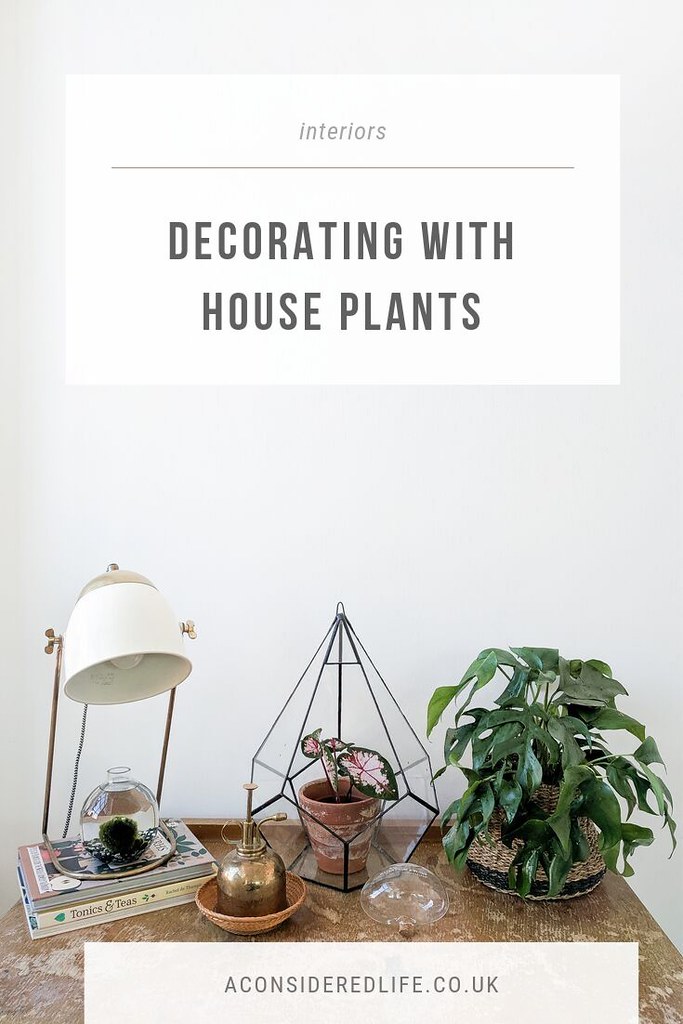 Decorating With House Plants