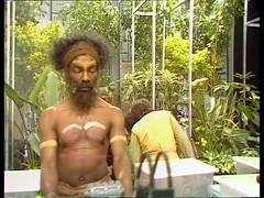 C 3e aboriginal gardeners