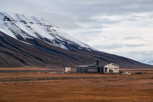 landscape svalbard spitsbergen arctic adventdalen house mountains snow grass autumn