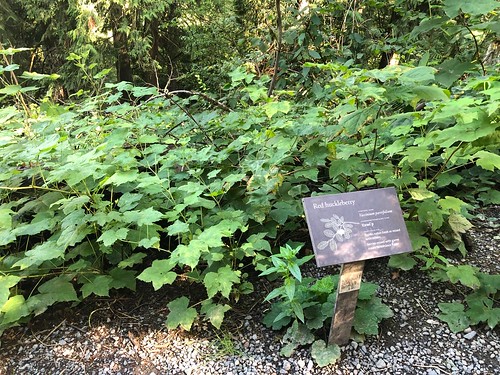 Trail signs. From 5 Surprising Reasons to Visit Washington’s Snoqualmie Falls