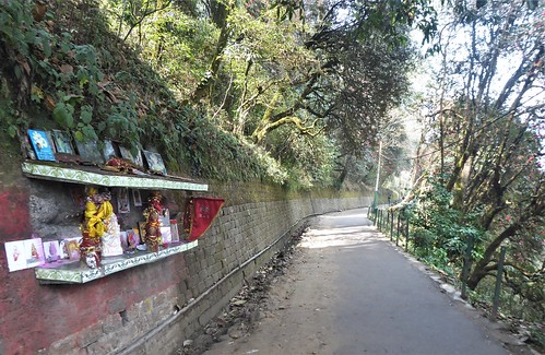in-08 bn-22 darjeeling-centre-ville (10)