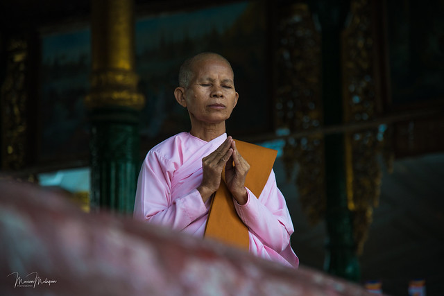 Meditation in Yangon