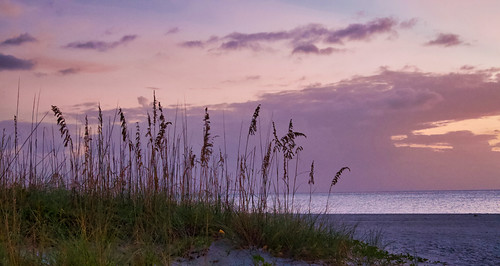 Sanddunes | by Johnnyvacc