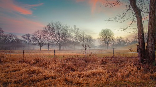 Goodmorning by kmac1960, low fog on Ogg road near Shawnee Mission Park in Johnson County, Ks fog clouds landscape sunrise kan