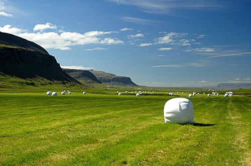 1ª Parte - Los Preparativos y el Norte de Islandia. - ISLANDIA: PAÍS DE HIELO Y FUEGO. (2)