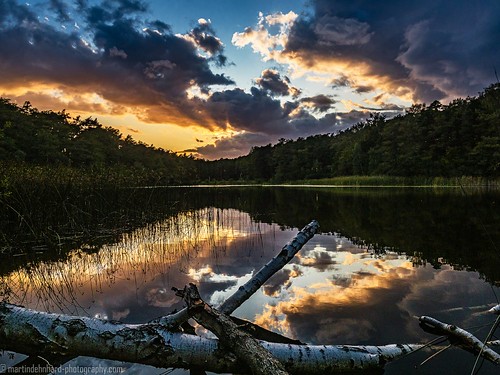 evening clouds sunset lake water köpenick müggelheim steppenwolf33 krummelake reflexions birch trunk ngc