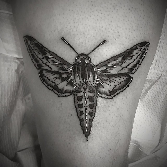 Moth tattoo@chrishenry_tattoos