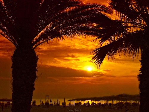 Palm tree at sunrise on the beach. by Alessandro Scuderi,